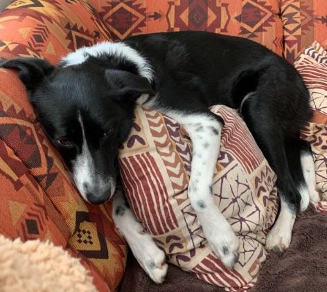 Pillows
